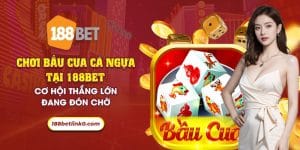 11 choi bau cua ca ngua tai 188bet co hoi thang lon dang don cho